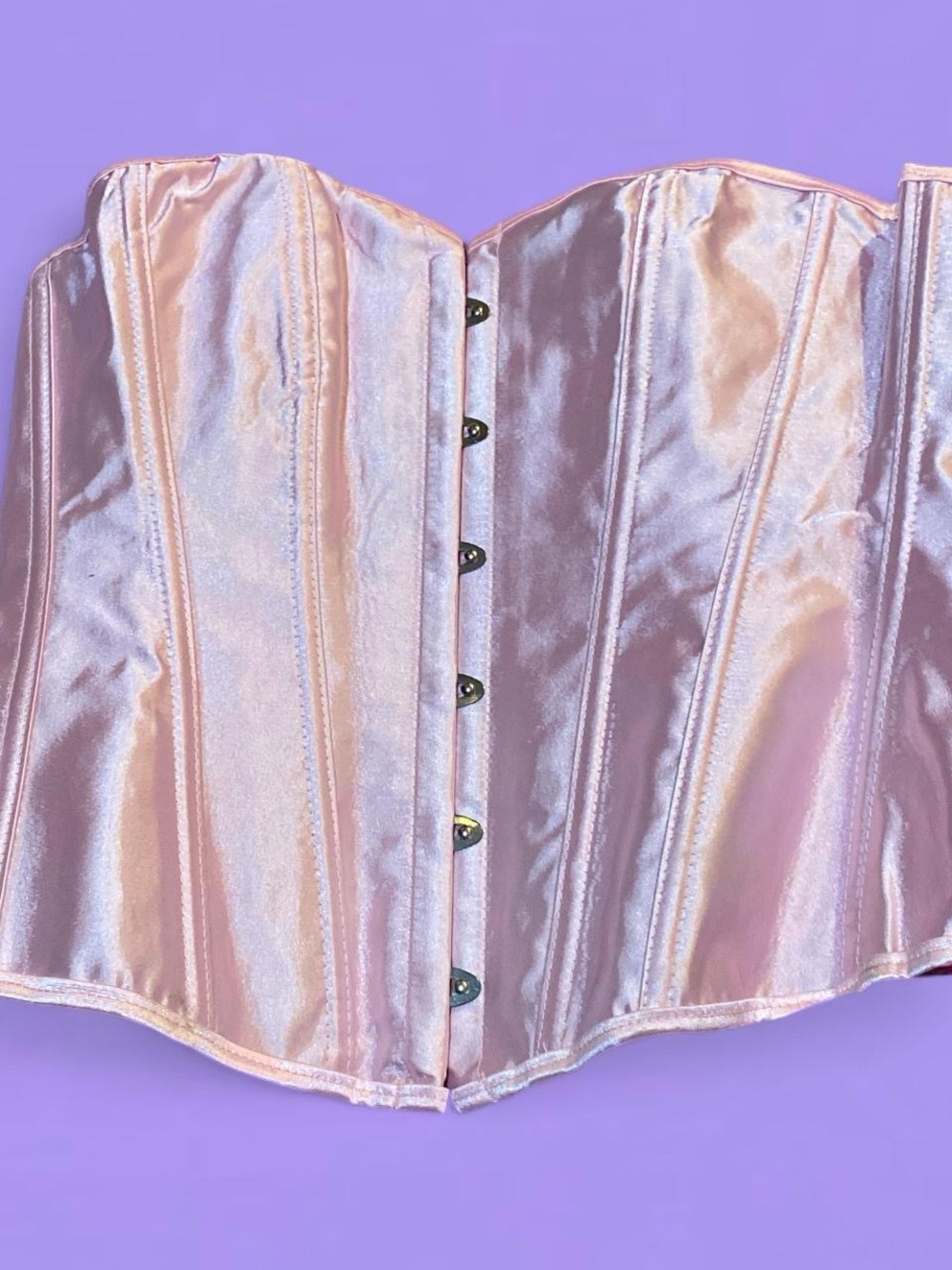 GORGEOUS Pink Costume Corset